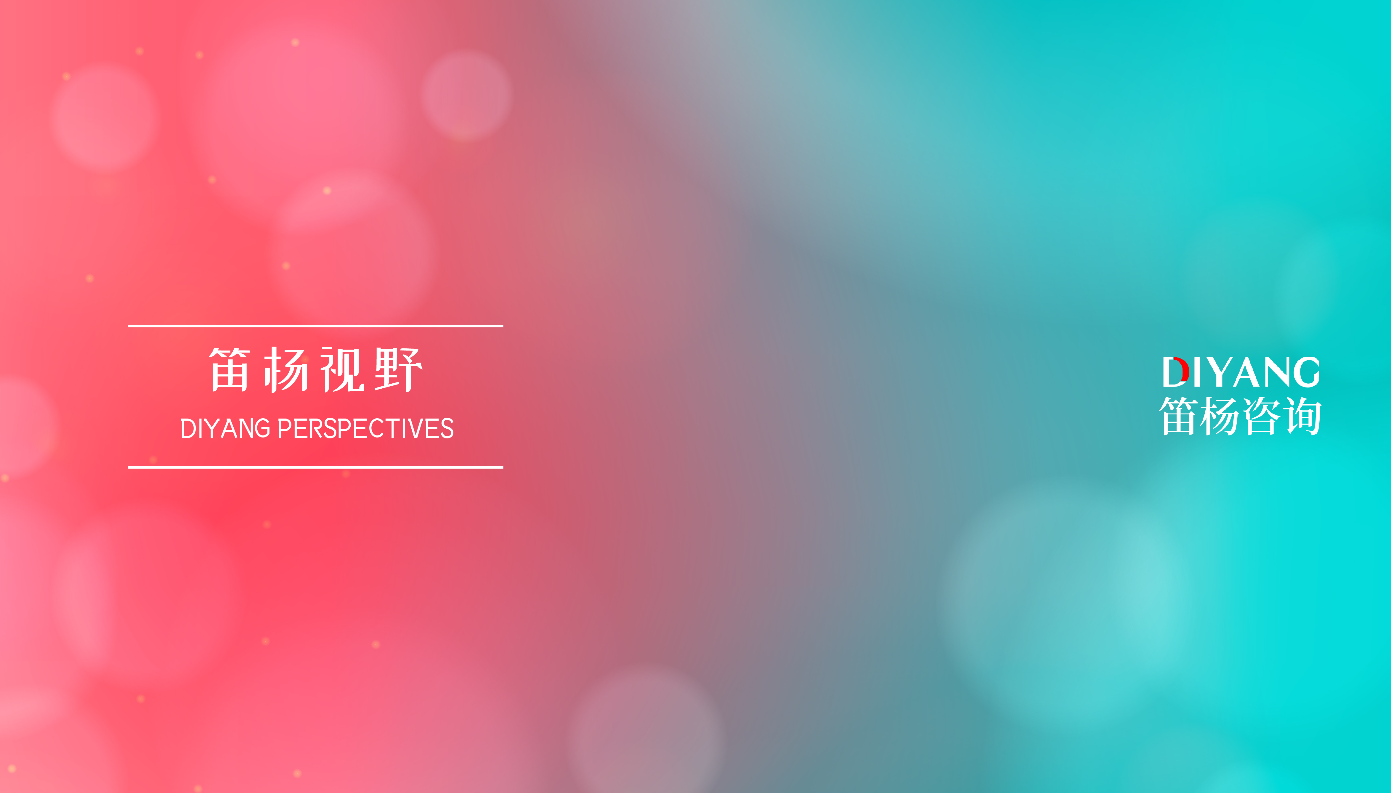 笛杨视野|私人飞机配置与管理系列（一）：如何选择、持有、运营托管与退出