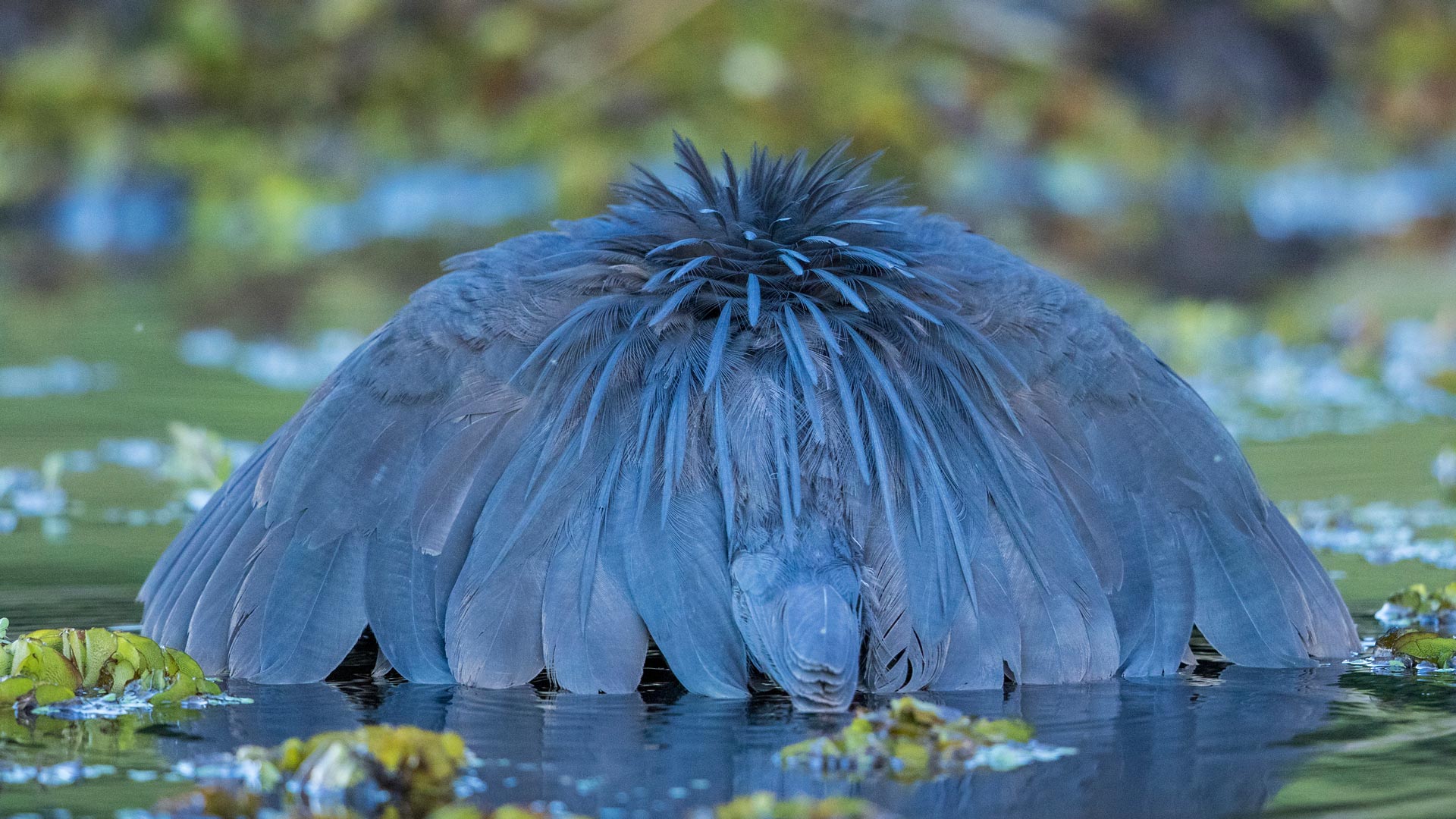 哈萨克斯坦个人投资资金来源准备指南