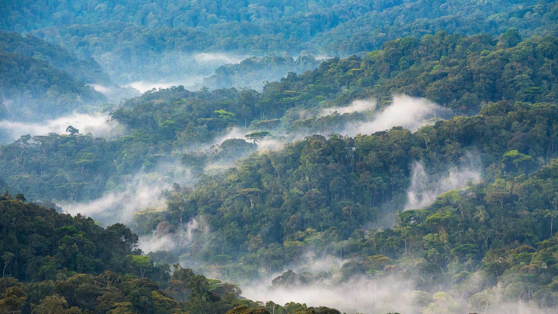审计报告最直接的三大应用场景