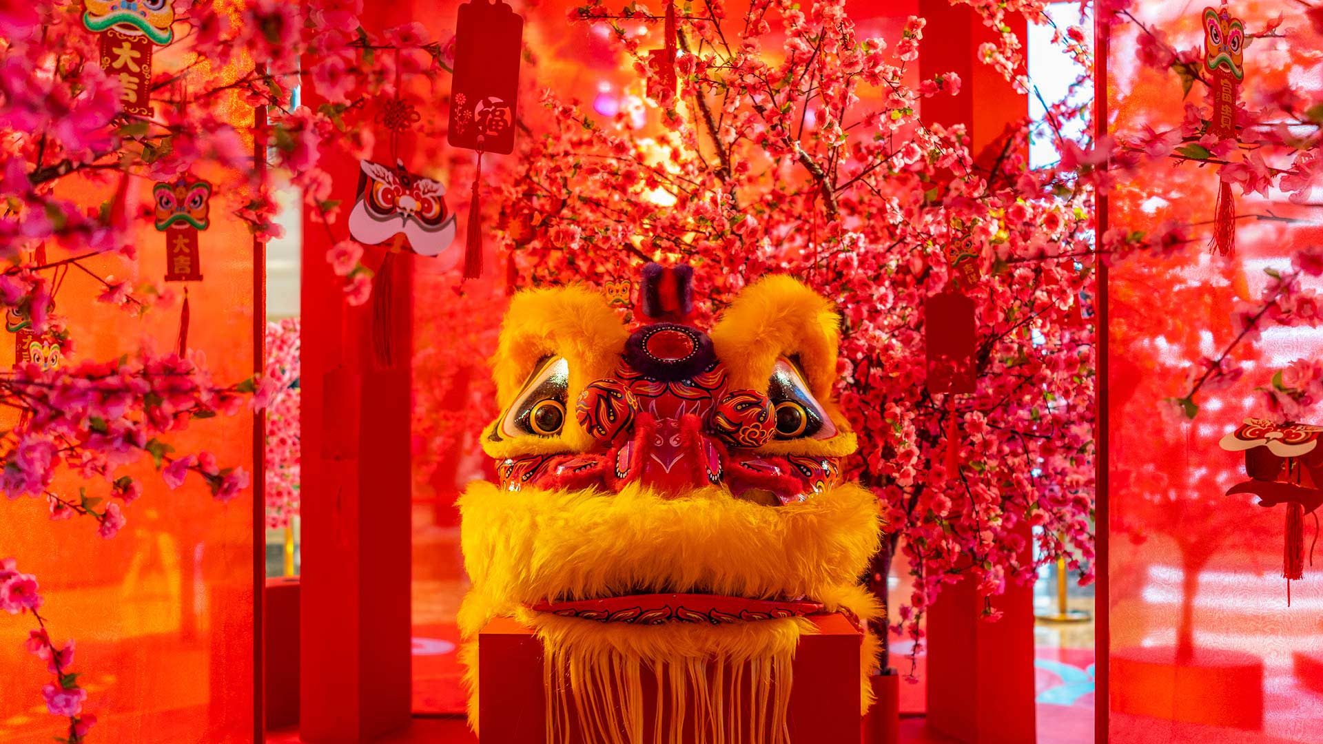 香港保险与家族信托如何协同：保单、受益权与财富传承工具的分工
