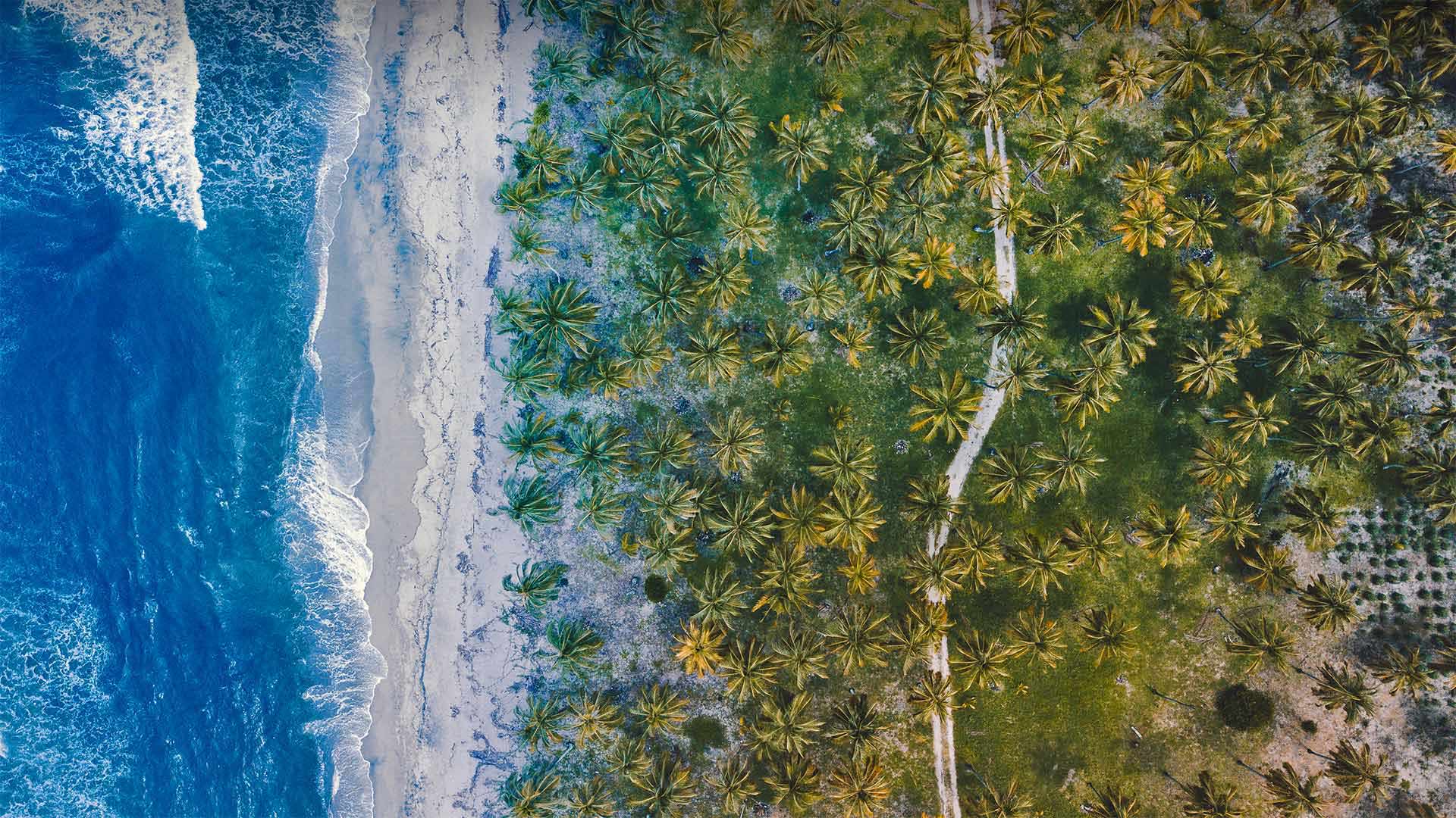 哈萨克斯坦公司设立后行政管理指南