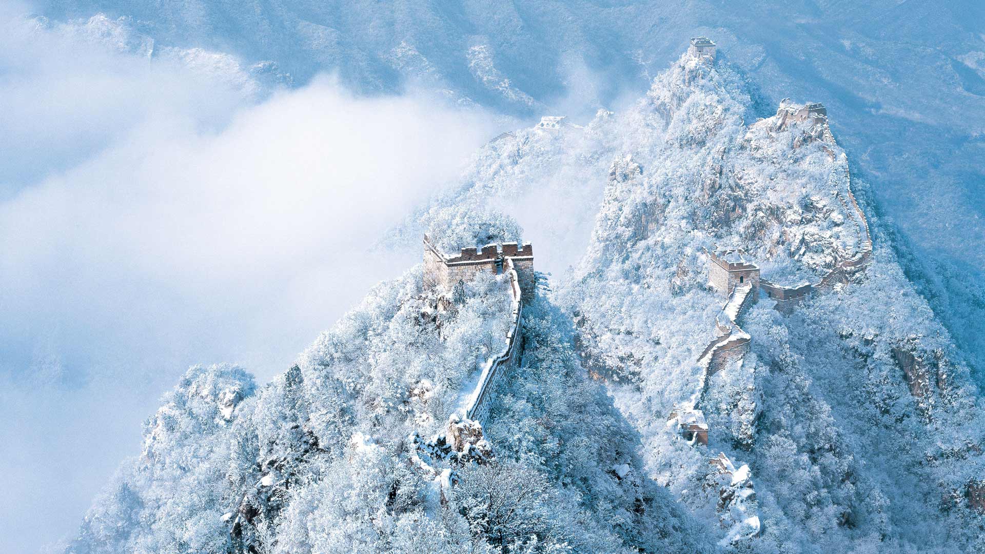 开曼公司好还是BVI好？深度解析离岸架构选择