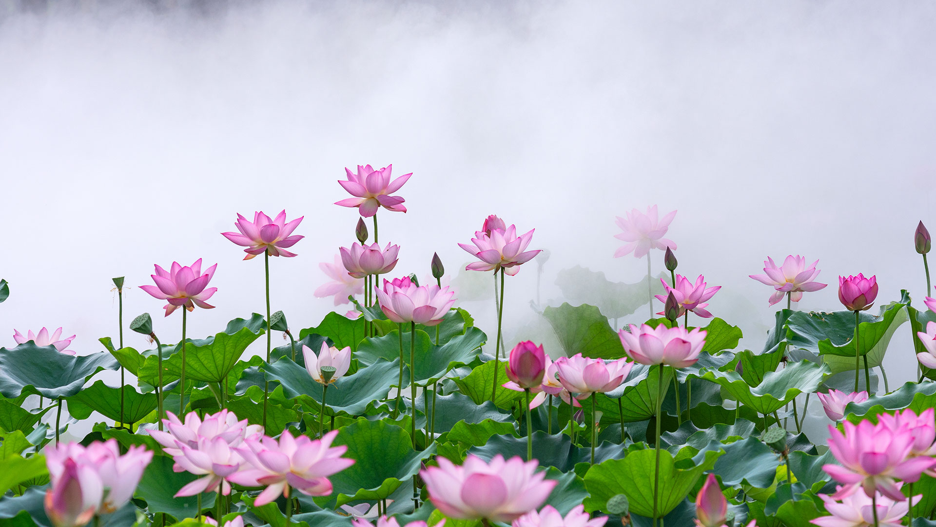 私人信托公司（PTC）的经济实质定性：家族财富架构中最容易被忽视的合规盲区